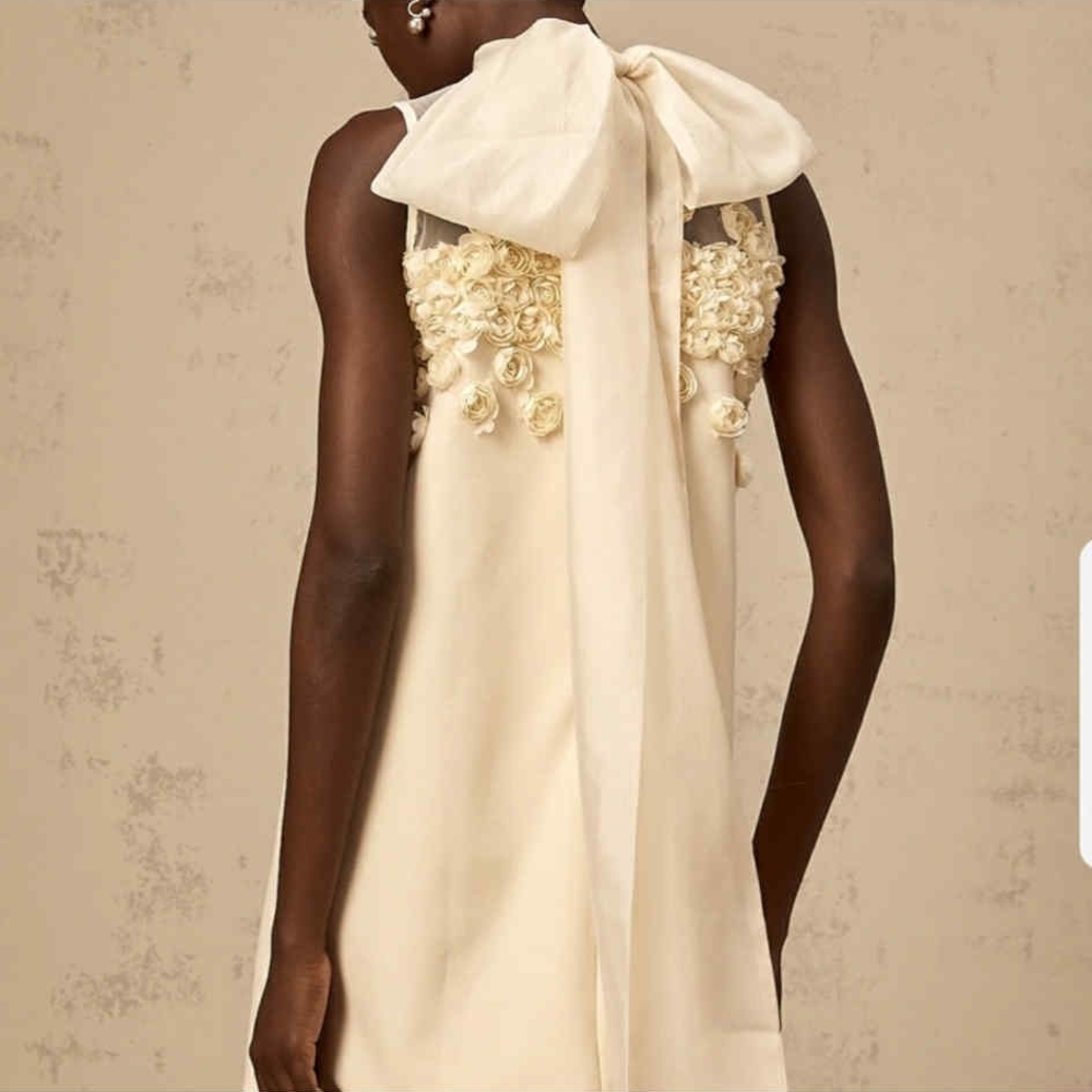 NWT Kaylyn Dress In Ivory